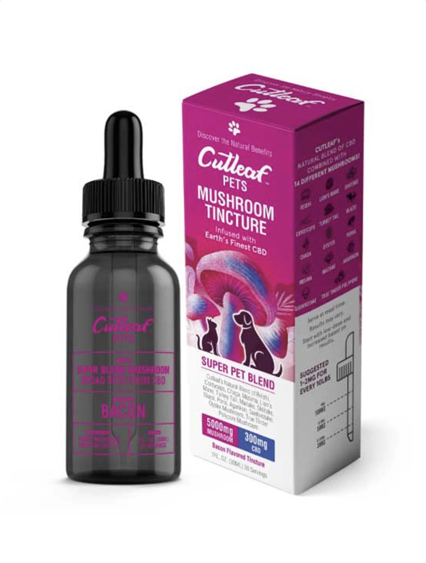 Bacon Cutleaf Pet Mushroom CBD Tinctures